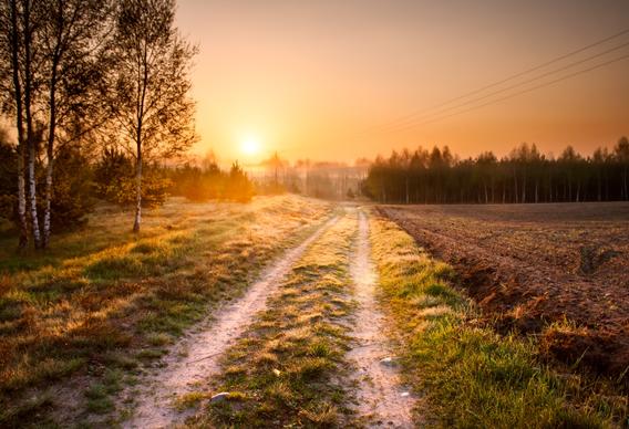 An unpathed road stretches through a field into the distance. The sun is rising on the horizon.